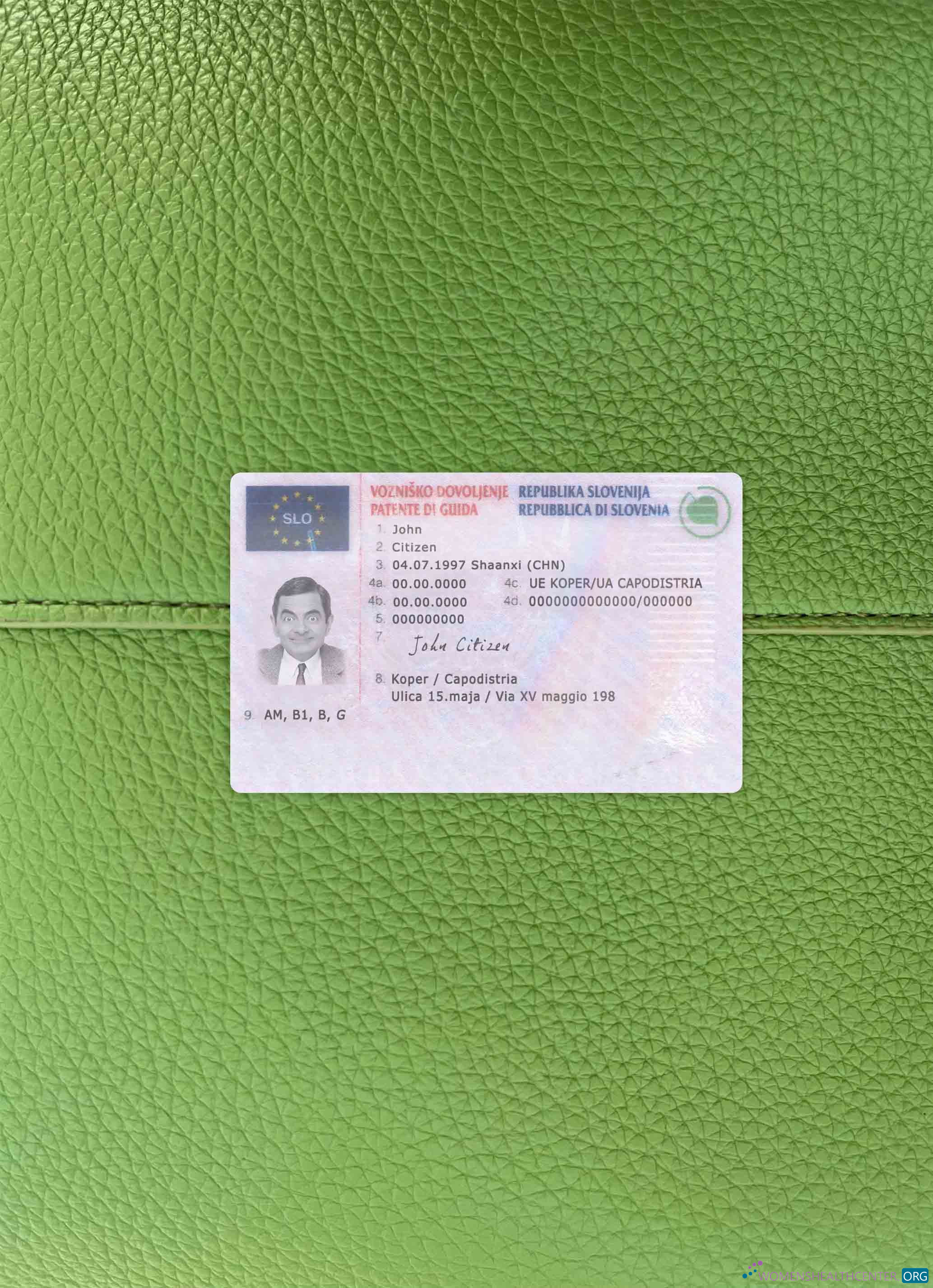 Download Slovenia driving license photolook FRONT Photoshop template